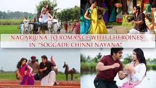 Nagaruna To Romance With 4 Heroins In 'Soggade Chinni Nayana' | New Telugu Movies News 2015