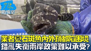 業者憂石斑魚內外銷都陷困境 錯亂失衡兩岸政策難以承受? 少康戰情室 20220615