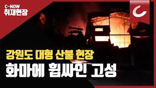 [속보] 강원도 산불…화마에 휩싸인 강원 고성 화재 현장 /조선일보