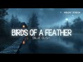 BIRDS OF A FEATHER but it's relaxing ambient version | Calm and Peaceful BGM for Sleep