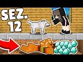 I-am Furat Toate Diamantele... (Minecraft: Serverul Anei - Sezon 12 COMPLET)