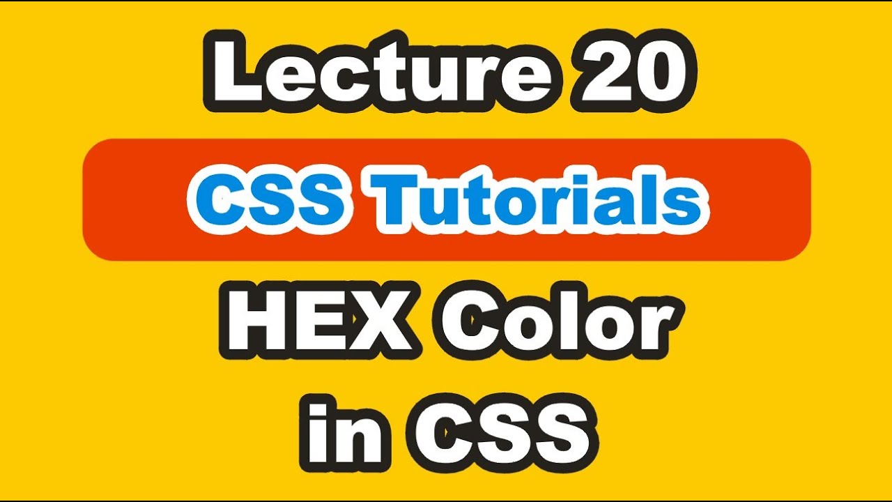 HSL Color In CSS | CSS HSL Color | Color HSL | HSL Color In HTML | HSL ...