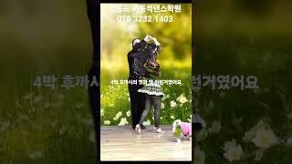 #영등포이동석댄스학원 #이동석댄스tv #사교댄스 #댄스부부동석과령