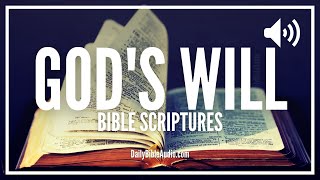 Bible Verses On God's Will | Powerful Scriptures & Promises About The Will Of God For Your Life
