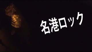 【シーバス】ロックフィッシュを釣りに来たはずが・・・