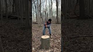 Hand splitting hickory wood chunks with Fiskars 8 Pound Maul #firewood #splitting #shorts