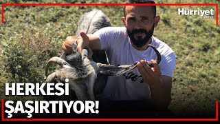 Görenleri Şaşırtıyor! Bu Keçi Diğerlerinden Çok Farklı