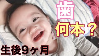 [驚愕]生後9ヶ月赤ちゃん| どんどん生えてくる歯