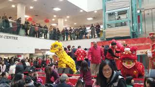 Chinatown Feb 1, 2025 The year of snake 大年初二 乙巳蛇年 中區唐人街文華中心12am-5pm part1