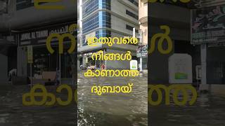 ഇതുവരെ നിങ്ങൾ കാണാത്ത ദുബായ് #shortfeed #shortvideo #youtubeshorts