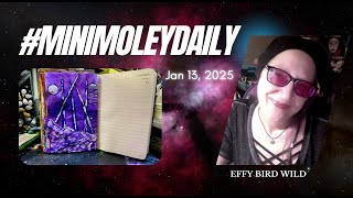 #minimoleydaily - January 13th, 2025