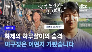 쨍쨍한 날 팬들이 우비로 무장하는 이유...‘하루살이’가 바꾼 야구장｜D:이슈