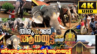 തിരുനക്കര ആനയൂട്ട്|2024|Thirunakkara Aanayoottu|#keralaelephant #ThirunkkaraAanayoottu #ആന