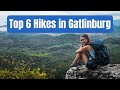 Gatlinburg's Best Hikes: Top 6 Must-Do Trails in the Smoky Mountains🌲