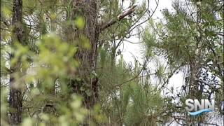 SNN: Controversial "Woods at Venice" Project Will Be Built