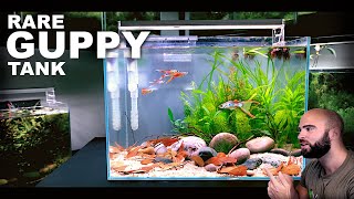 Aquascape Tutorial: RARE GUPPY TANK Natural Style (How To Step By Step Guide)