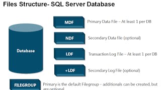 Module 4 - Database Structures