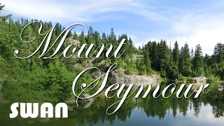 SWAN【你最無情】Mt. Seymour 懷念金曲 北美風光 Amazing Views Memorable Songs