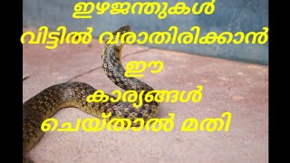 പാമ്പ് /ഇഴജന്തുകൾ വീടിന്റെ പരിസരത്ത് വരാതിരിക്കാൻ /precaution to avoid snake from home/ malayalam