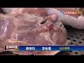 2017禽流感－禁宰禁運再延3天？ 雞肉攤商叫苦連天－民視新聞