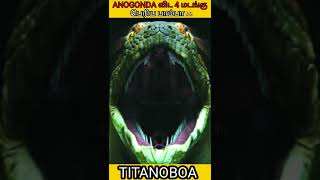 TITANOBOA - அனகோண்டா விட 4 மடங்கு பெரிய பாம்பா 🐉😬// FAT #Shorts