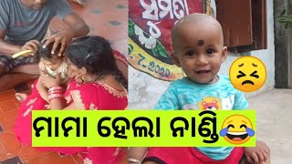 Misty ମାମା ହେଲା ନାଣ୍ଡି😂 ||Misty mama || @rojiswainodiavlog || #odiavlog #odiavlogchannel ||