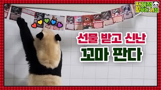 (SUB) Baby Panda Happy With Receiving Greeting Card At The End Of The Year│Panda Family🐼