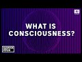 CONSCIOUSNESS — explained in an elevator ride | Elevator Pitch