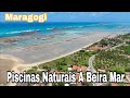 Maragogi Alagoas 10 De Fevereiro De 2024