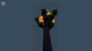 romanticizing studying | when you feel depressed [dark academia playlist]