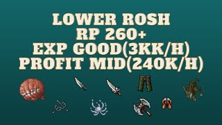 WHERE to HUNT as RP 260+ (EXP 3kk/h) | Lower Rosh