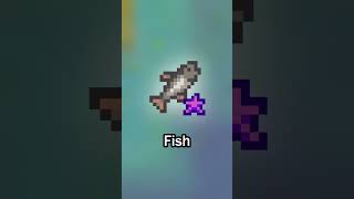 Iridium Fish On Day 2 Of Stardew Valley