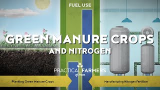 Green Manure Crops and Nitrogen