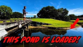 SNEAKING Into Golf Course FISHING Ponds (Will We Get Kicked Out?)