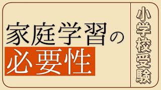 【小学校受験】家庭学習の必要性