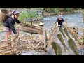 Repair the old abandoned trap at the stream, catch a lot of big fish