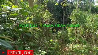 IWAN FALS TANAM SIRAM TANAM official lirik video