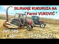 Siliranje Kukuruza na Farmi VUKOVIC | Imt 588 i Sip sk 80 | ArmaTrac 704e | @Savo.Vukovic