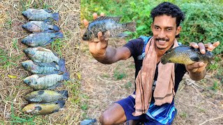 പ്രേതീക്ഷ തെറ്റിച്ചു വലയിൽ കിട്ടിയ മീനുകൾ 🐟  | Fishing vlog | EP- 28 | Palakkad | Village Meenkaran