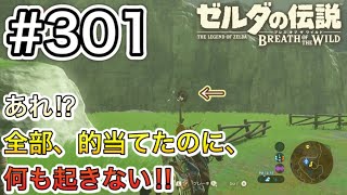 【#301】東ハテール地方のコログ取りこぼし回収の旅⑤ ハテノ馬術訓練場跡編(1)[ゼルダの伝説 ブレスオブザワイルド]