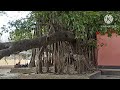 मां सोनाड़ी देवी मंदिर sonadi devi temple sonadi devi mandir chowk bazar maharajganj