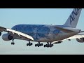 新年初撮り♪ana flying honu 初日の出フライト！ラニ君のtakeoff u0026 landing 成田空港ひこうきの丘