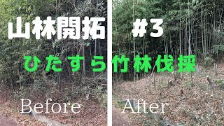 【山林開拓】#3　ひたすら竹林伐採！