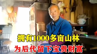 探访住在深山中的独居老人，拥有1000多亩山林，为后代留下宝贵财富【乡村阿泰】