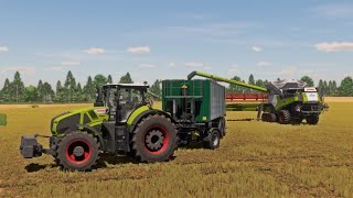 Landwirtschafts Simulator 22 / Map Landersum / #154 Triticale dreschen Lexion 8600/8900, NH CR10.90