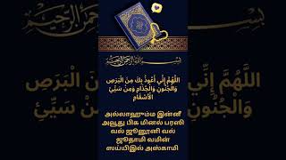 கொடிய நோய்களிலிருந்து பாதுகாவல் பெற நபி(ஸல்) அவர்கள் ஓதிய துஆ#குர்ஆன் #இஸ்லாமிய துஆ