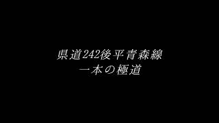 【県道】県道242後平青森線　一本の極道