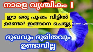 മാസം മുഴുവൽ ധനം വർഷിക്കും നാളെ ഈ പുഷ്പം ഇങ്ങനെ ചെയ്യു