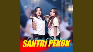 Santri Pekok (feat. Princes Nadia)