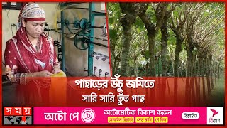 রাঙ্গামাটিতে রেশম চাষে সাফল্য | Sericulture in Rangamati | Mulberries | Silk | Mountain | Somoy TV